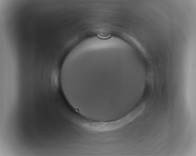 X0000102310023200808081617