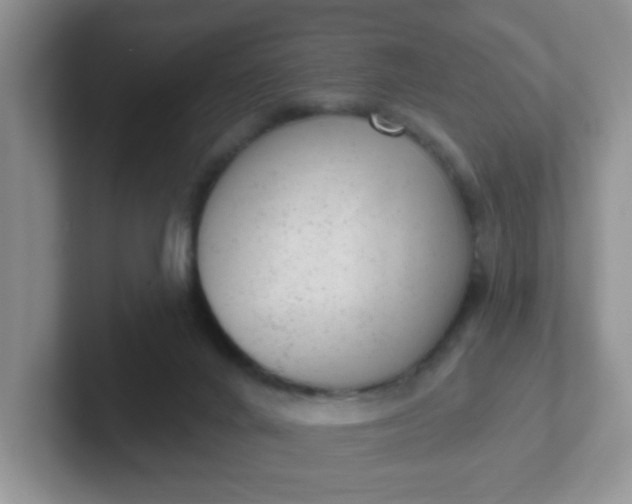 X0000102310024200808081617