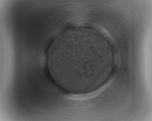 X0000102310029200808081617