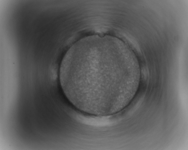 X0000102310032200808081616