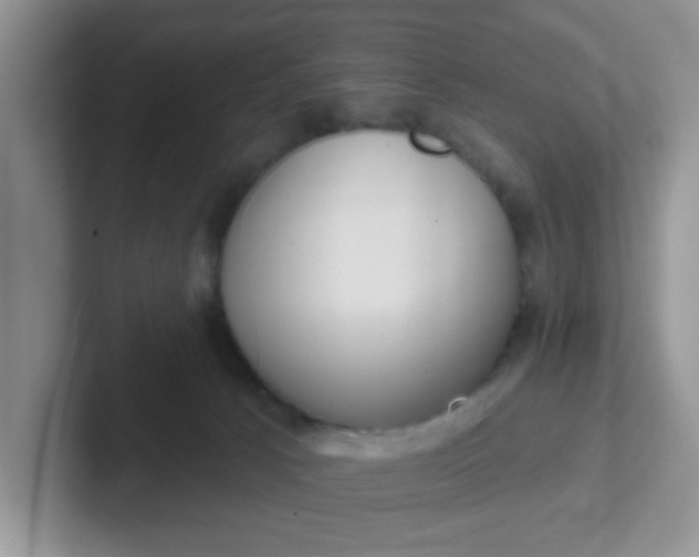 X0000102310033200808081616