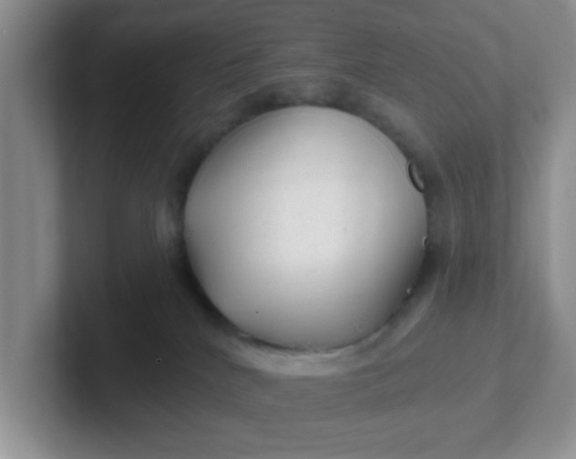 X0000102310040200808081616