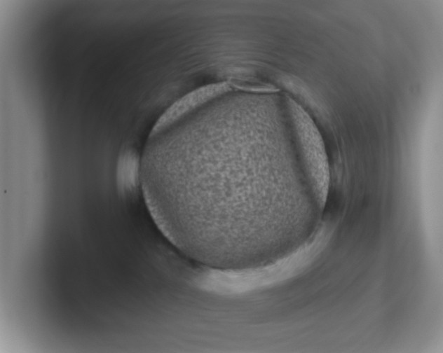 X0000102310041200808081616