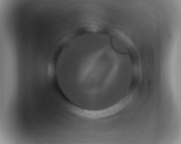 X0000102310043200808081616