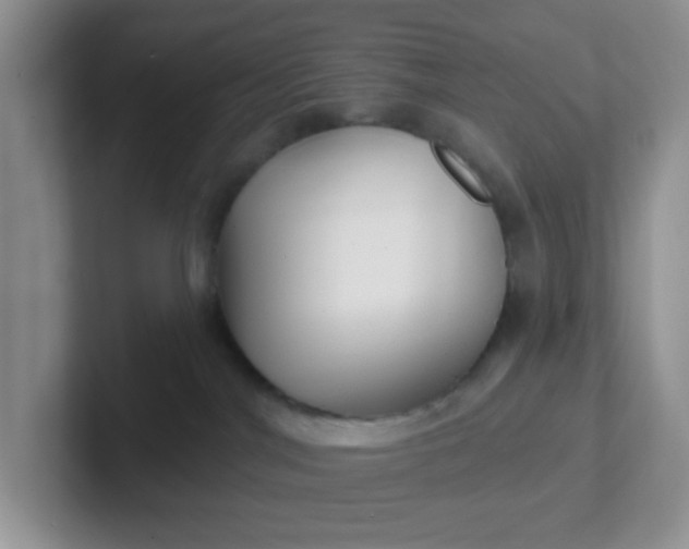 X0000102310044200808081616