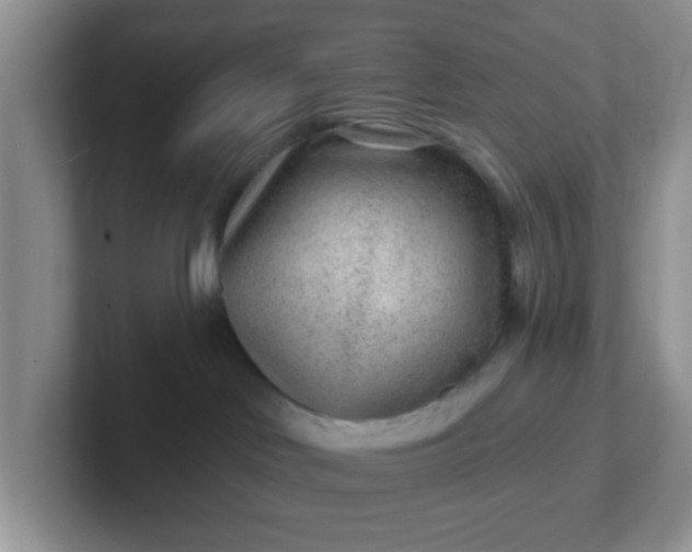 X0000102310046200808081616