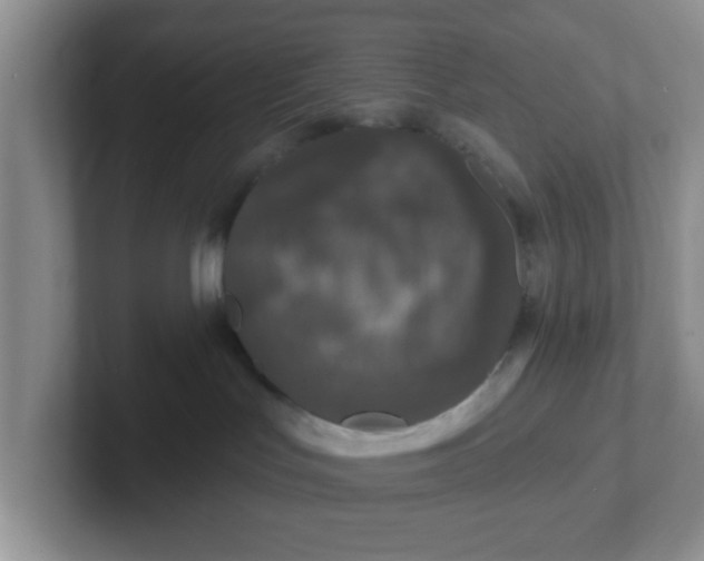 X0000102310047200808081616