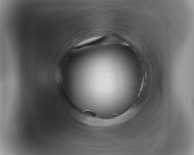 X0000102310048200808081616
