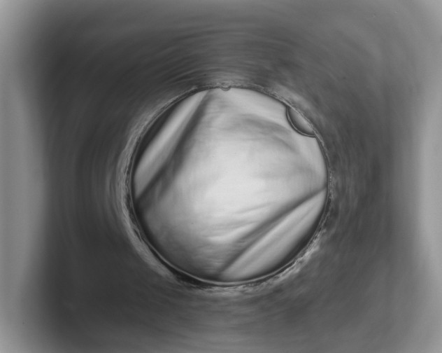 X0000102310049200808081616