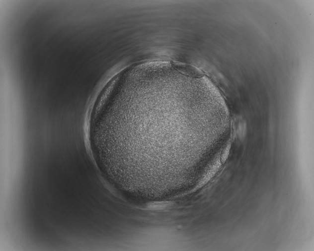 X0000102310051200808081616