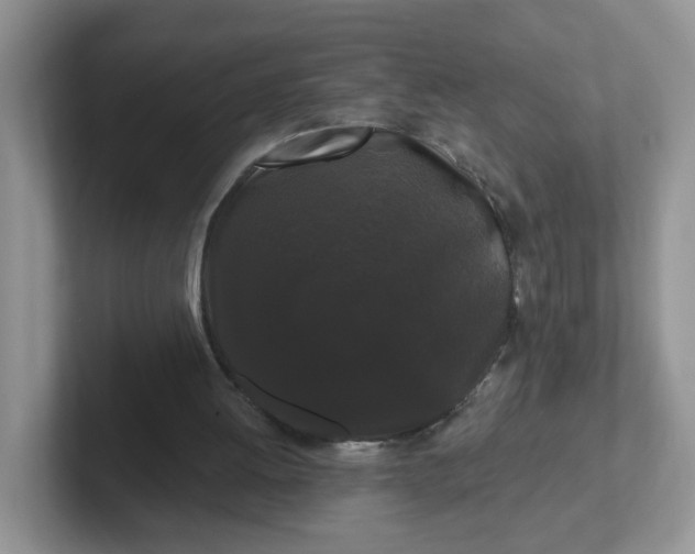 X0000102310052200808081616