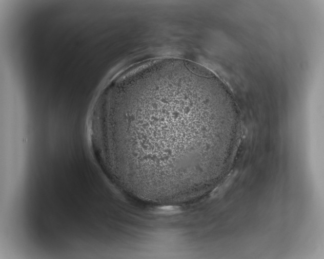 X0000102310053200808081616