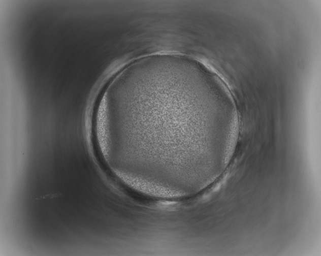 X0000102310055200808081616