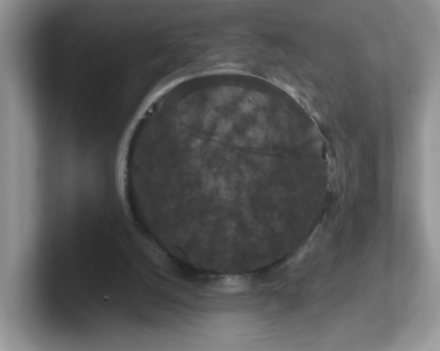 X0000102310056200808081616