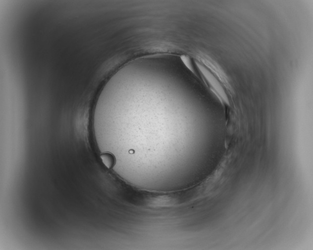 X0000102310058200808081616