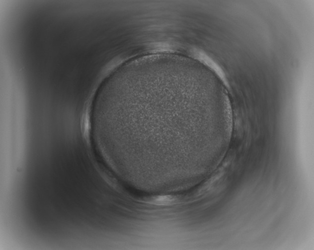 X0000102310059200808081616