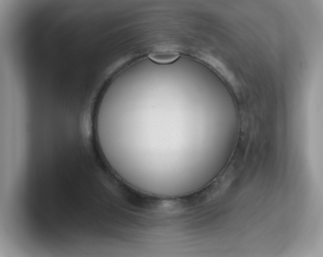 X0000102310060200808081616