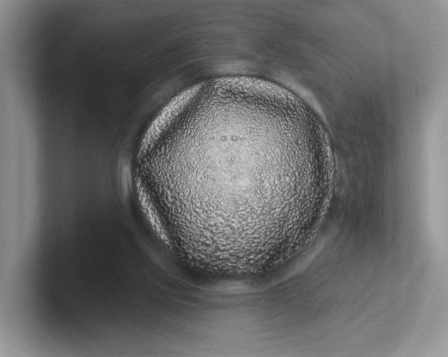 X0000102310061200808081616