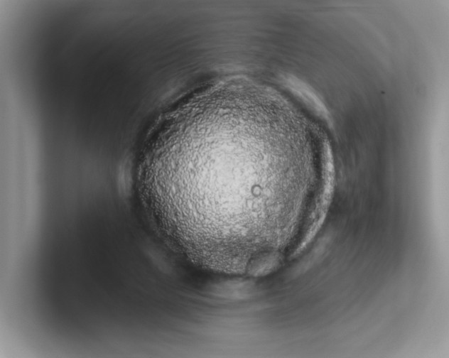 X0000102310065200808081616