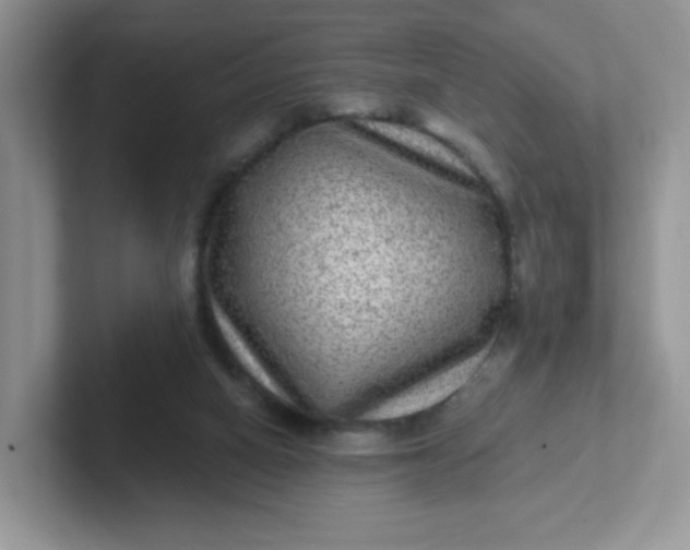 X0000102310066200808081616