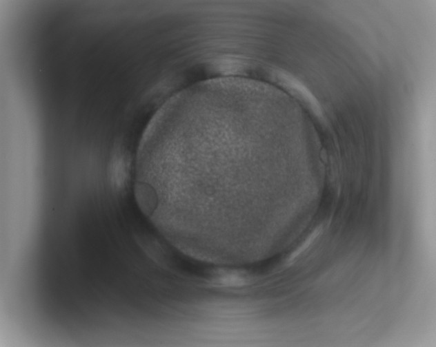 X0000102310073200808081616