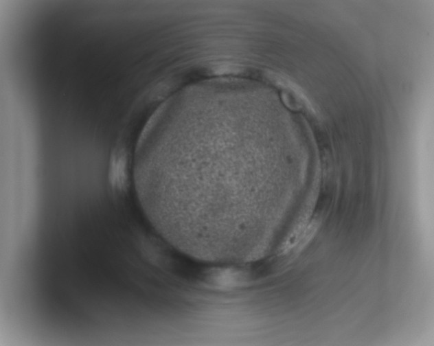 X0000102310074200808081616
