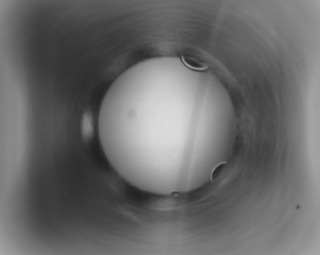 X0000102310075200808081616