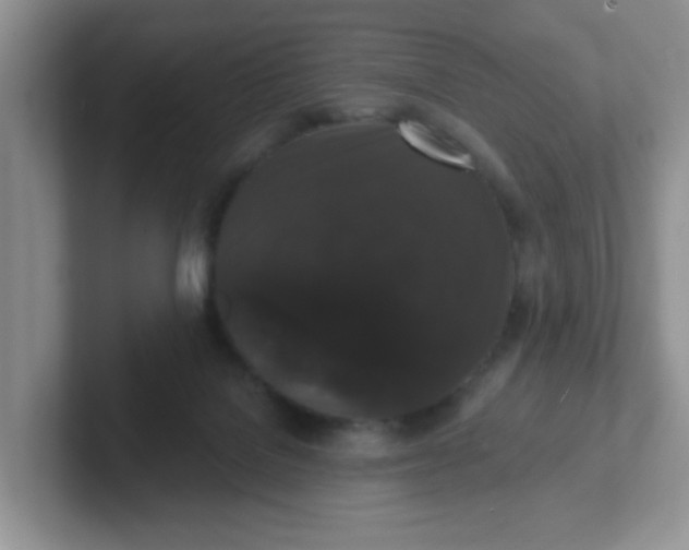 X0000102310076200808081616