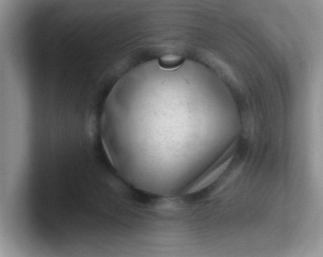 X0000102310077200808081616