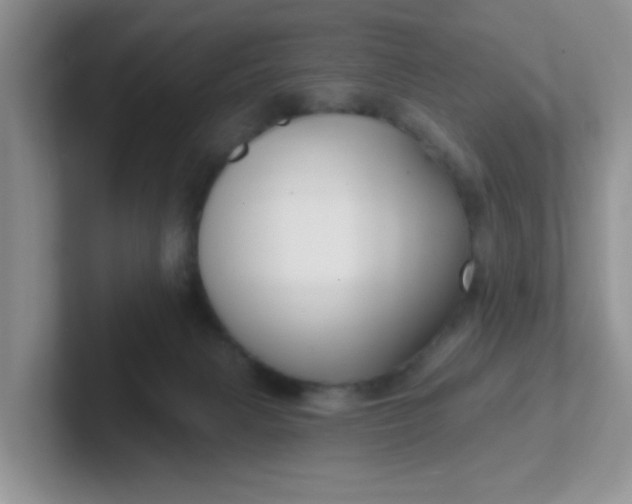 X0000102310079200808081616