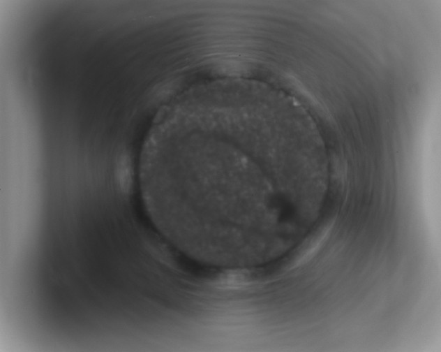 X0000102310080200808081616