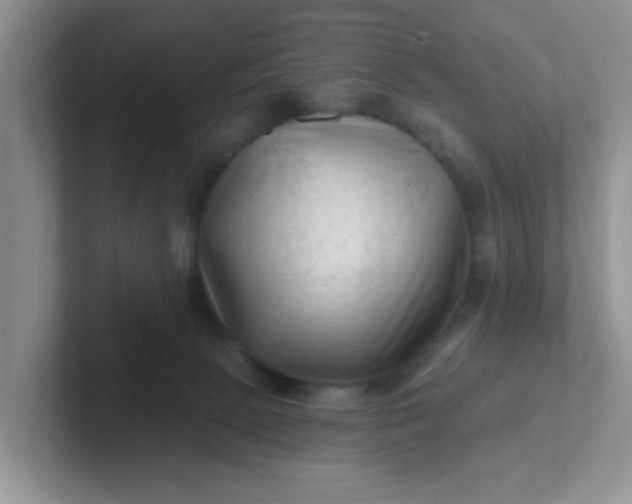 X0000102310081200808081616
