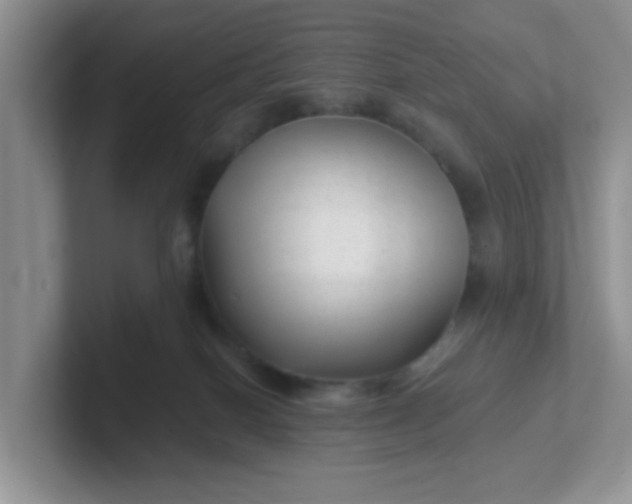 X0000102310086200808081616