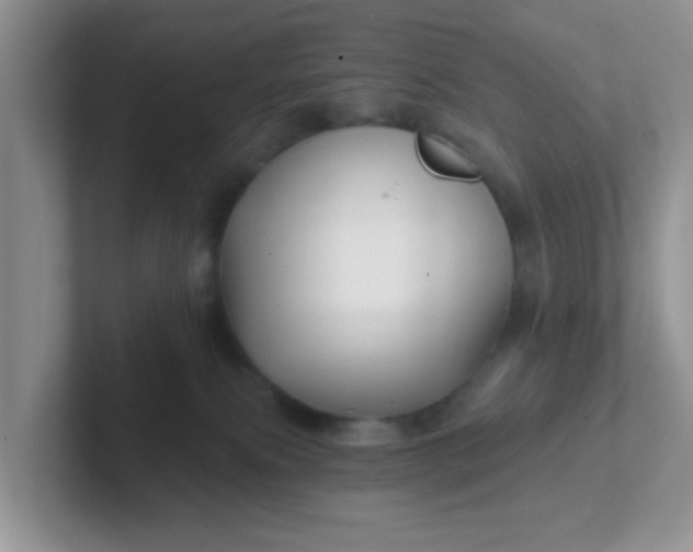 X0000102310087200808081616