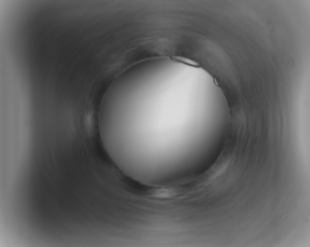 X0000102310088200808081616
