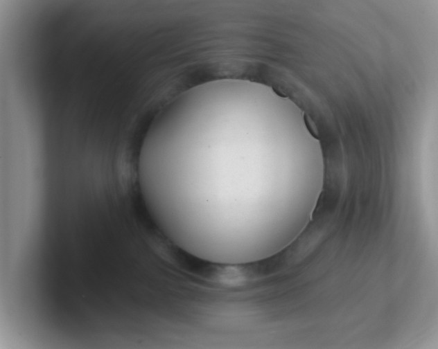 X0000102310091200808081616