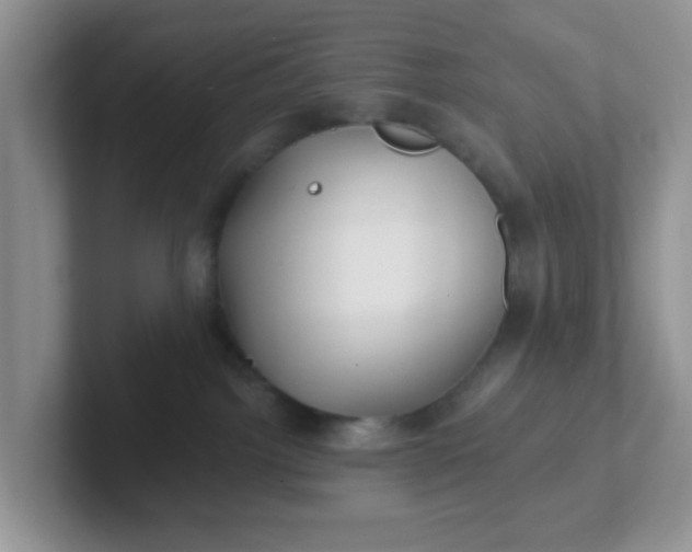 X0000102310092200808081616