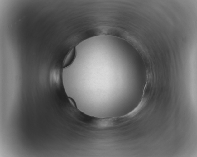 X0000102310094200808081616
