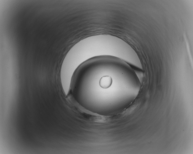 X0000102310096200808081616