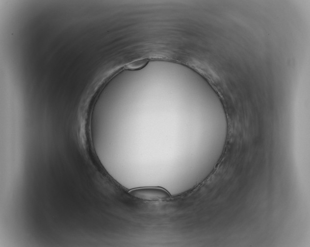 X0000102310098200808081616