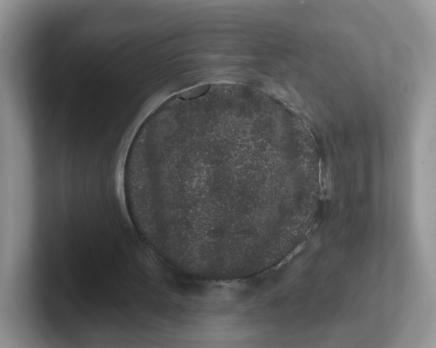 X0000102310099200808081615