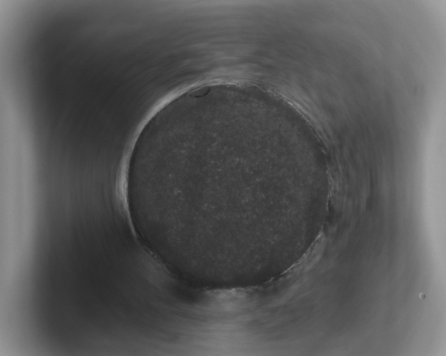 X0000102310100200808081615