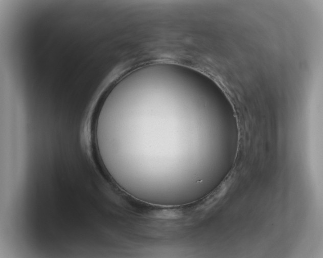 X0000102310102200808081615