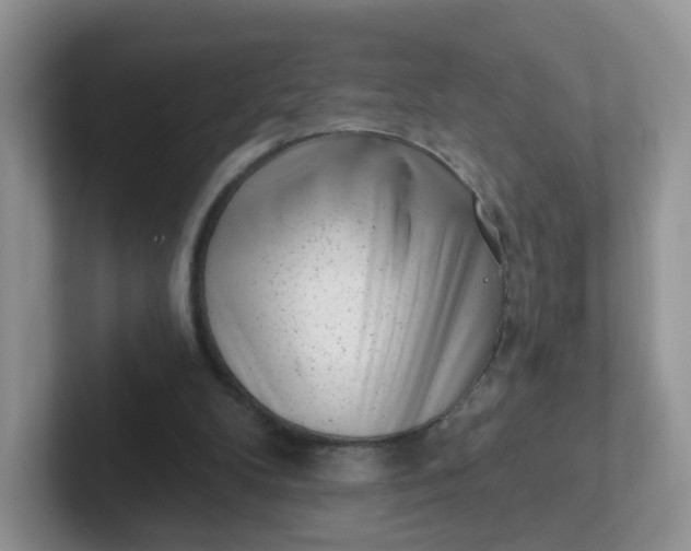 X0000102310104200808081615