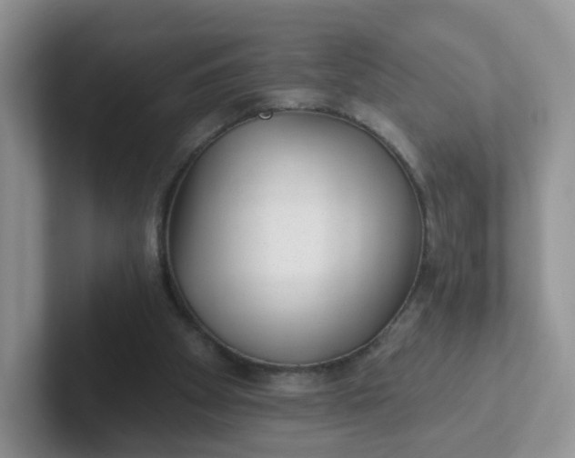 X0000102310105200808081615
