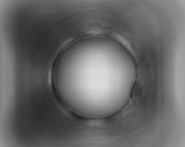 X0000102310106200808081615