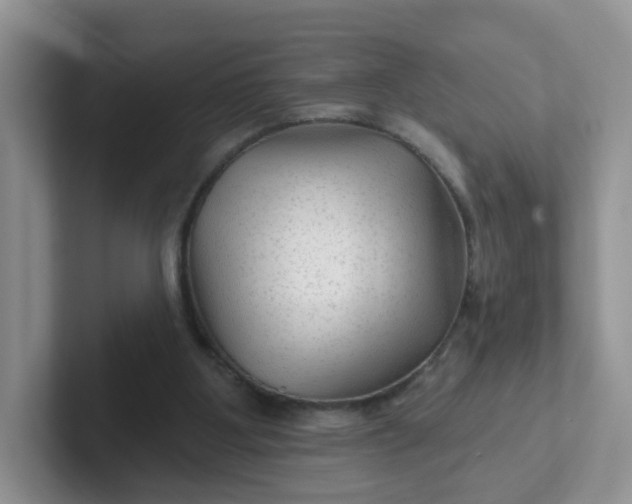 X0000102310107200808081615