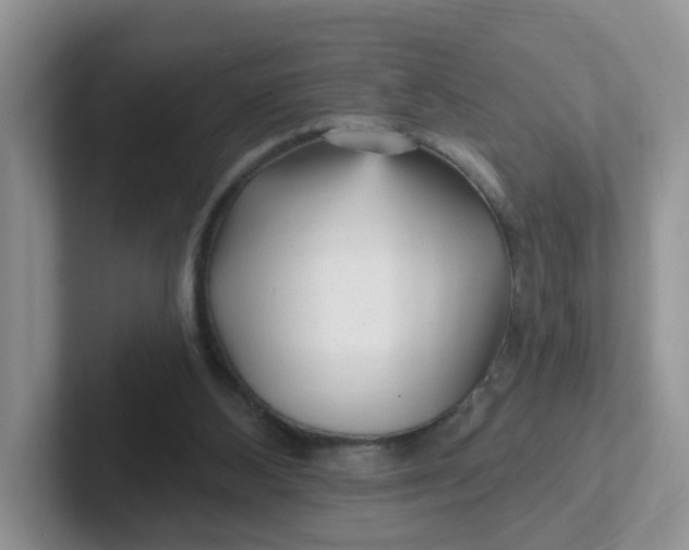 X0000102310108200808081615