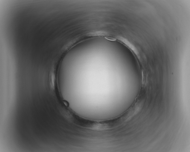 X0000102310109200808081615