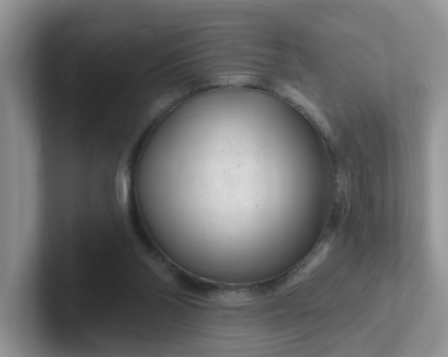X0000102310110200808081615